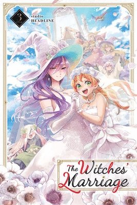 The Witches' Marriage, Vol. 3 1