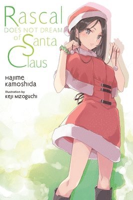 bokomslag Rascal Does Not Dream of Santa Claus (light novel)