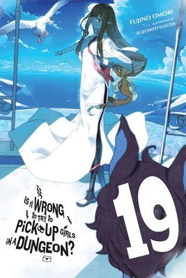 Dale DeLucia, Fujino Omori, Suzuhito Yasuda - Is It Wrong to Try to Pick Up Girls in a Dungeon?, Vol. 19 (light novel), Häftad