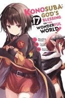 bokomslag Konosuba: God's Blessing on This Wonderful World!, Vol. 17 (manga)