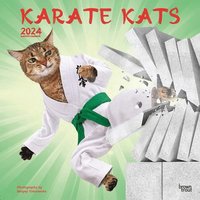 bokomslag KARATE KATS 2024 SQUARE