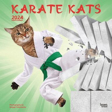 bokomslag KARATE KATS 2024 SQUARE