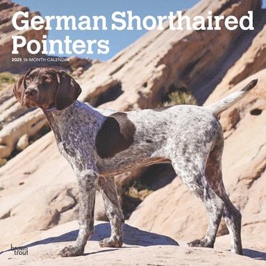 bokomslag German Shorthaired Pointers 2025 Square