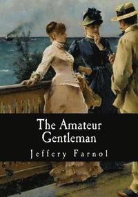 bokomslag The Amateur Gentleman
