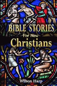 bokomslag Bible Stories for New Christians