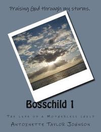 bokomslag Bosschild 1