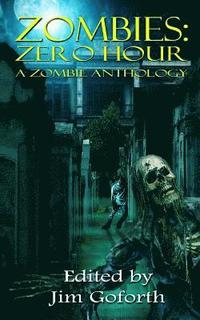 bokomslag Zombies: Zero Hour