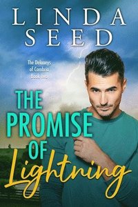 bokomslag Promise of Lightning