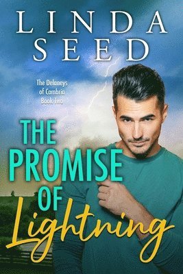 bokomslag Promise of Lightning