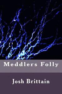 bokomslag Meddlers Folly