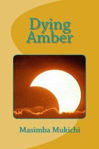 bokomslag Dying Amber