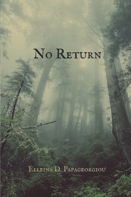 No Return 1