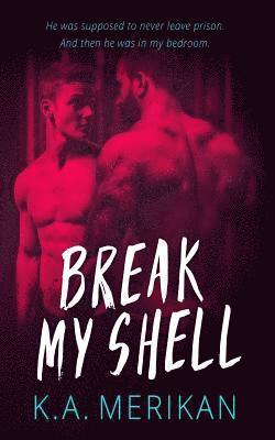 Break My Shell (gay romance) 1