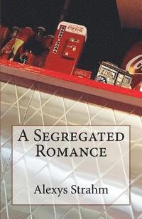 bokomslag A Segregated Romance