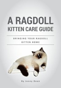 bokomslag A Ragdoll Kitten Care Guide: Bringing Your Ragdoll Kitten Home