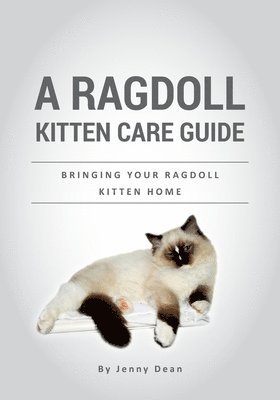 Jenny Dean - A Ragdoll Kitten Care Guide: Bringing Your Ragdoll Kitten Home, Häftad