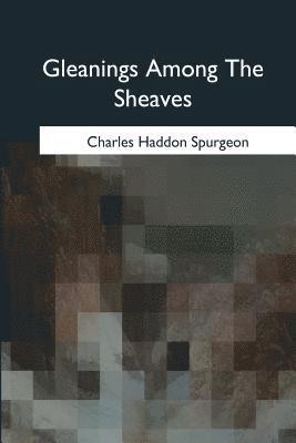 bokomslag Gleanings Among The Sheaves