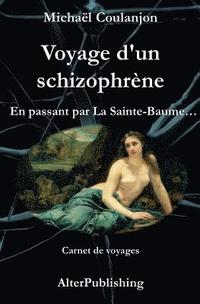 bokomslag Voyage d'un schizophrène: En passant par La Sainte Baume