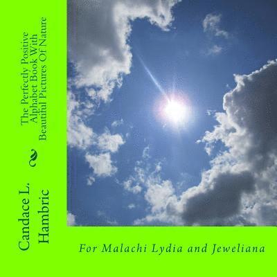 Candace L. Hambric - The Perfectly Positive Alphabet Book With Beautiful Pictures Of Nature, Häftad