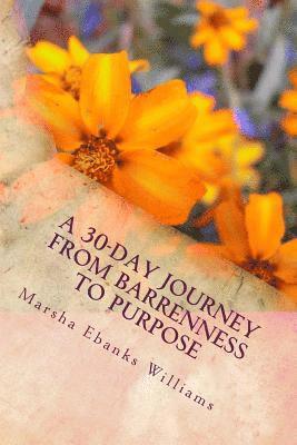 bokomslag A 30-Day Journey From Barrenness to Purpose