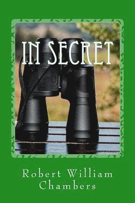 bokomslag In Secret