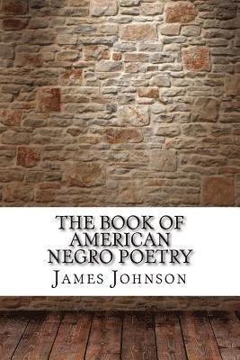 bokomslag The Book of American Negro Poetry