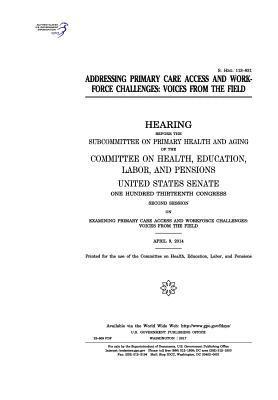 Addressing primary care access and workforce challenges: voices from the field 1