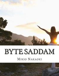 bokomslag Byte Saddam
