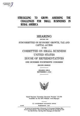United States House of Representatives, Committee on Small Business - Struggling to grow: assessing the challenges for small businesses in rural America, Häftad