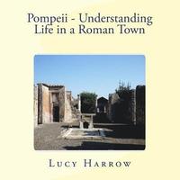 bokomslag Pompeii - Understanding Life in a Roman town: Hidden Pompeii