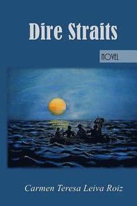 bokomslag Dire Straits