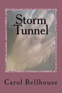 bokomslag Storm Tunnel