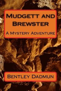 bokomslag Mudgett and Brewster: A Mystery Adventure