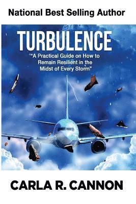 bokomslag Turbulence: A Practical Guide on How to Remain Resilient in the Midst of Every Storm