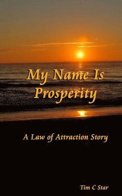 bokomslag My Name Is Prosperity: A Law of Attraction Story
