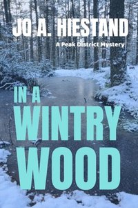 bokomslag In A Wintry Wood