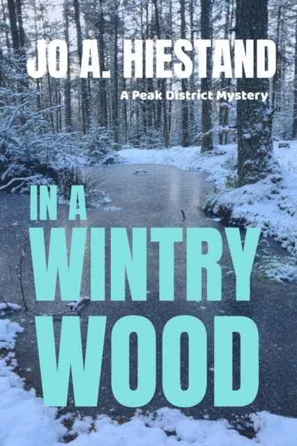 Jo A. Hiestand - In A Wintry Wood, Häftad
