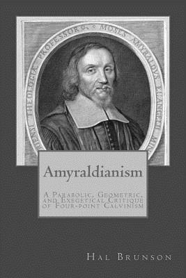 bokomslag Amyraldianism: A Parabolic, Geometric, and Exegetical Critique of Four-point Calvinism