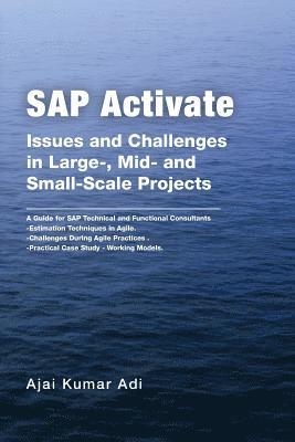 bokomslag SAP Activate: Issues and Challenges in Large-, Mid- and Small-Scale Projects: A Guide for SAP Technical and Functional Consultants