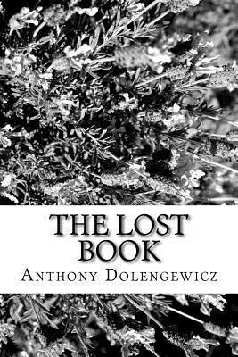 bokomslag The Lost Book