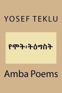 bokomslag Amba Poems