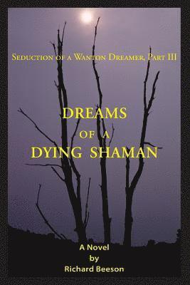 bokomslag Dreams of a Dying Shaman: Seduction of a Wanton Dreamer, Part III