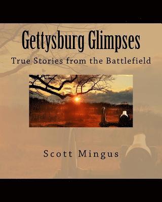 bokomslag Gettysburg Glimpses: True Stories from the Battlefield