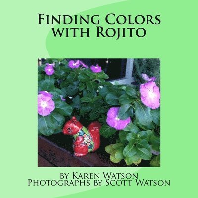 Finding Colors with Rojito 1