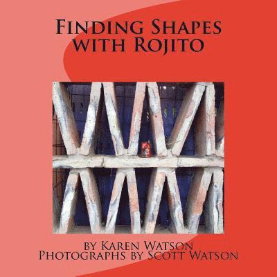 Finding Shapes with Rojito 1