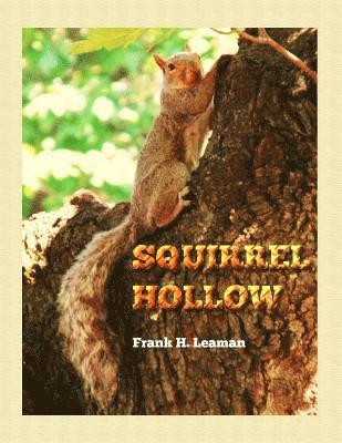 bokomslag Squirrel Hollow: Exciting Stories About Making Good Choices