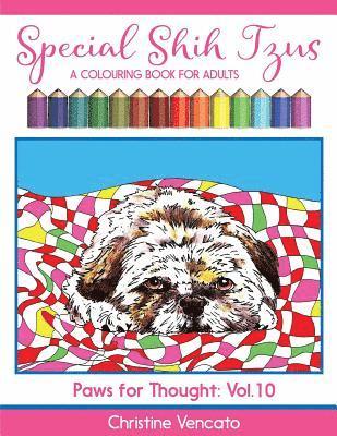 Special Shih Tzus 1