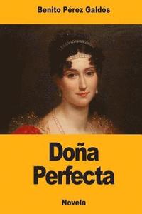bokomslag Doña Perfecta