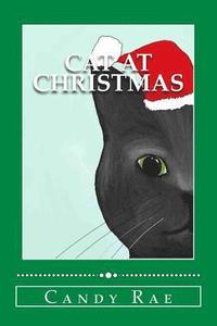 bokomslag Cat at Christmas