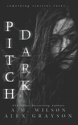 bokomslag Pitch Dark